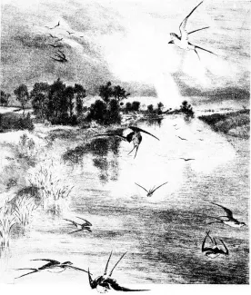 Estampe Delteil Loÿs